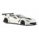 Corvette C7R Body White Kit