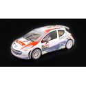 Peugeot 207 S2000 - Bouffier - Nieve