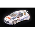 Peugeot 207 S2000 - Sarrazin - Nieve