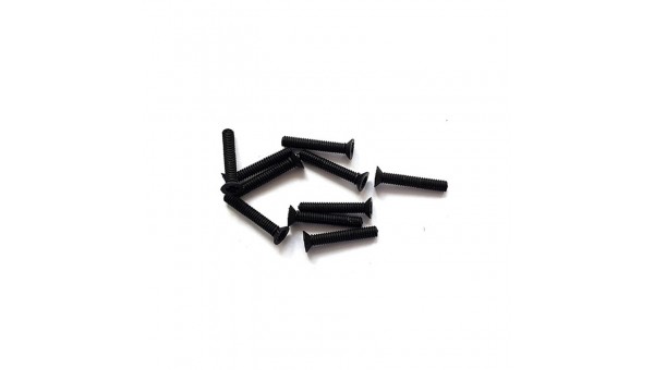 10 x Tornillos conicos Phillips NEGRO M2 x 12mm