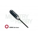 Llave Torx T25